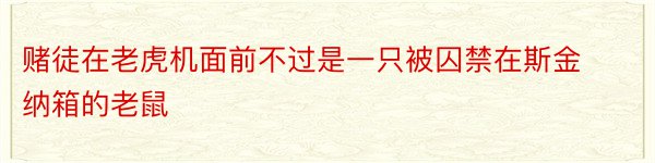 赌徒在老虎机面前不过是一只被囚禁在斯金纳箱的老鼠