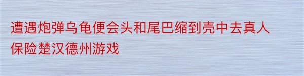 遭遇炮弹乌龟便会头和尾巴缩到壳中去真人保险楚汉德州游戏