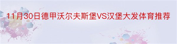 11月30日德甲沃尔夫斯堡VS汉堡大发体育推荐