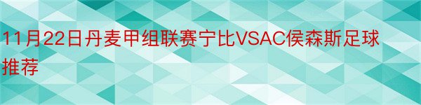 11月22日丹麦甲组联赛宁比VSAC侯森斯足球推荐