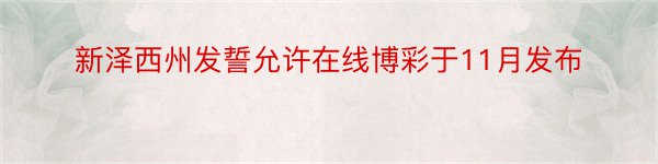 新泽西州发誓允许在线博彩于11月发布